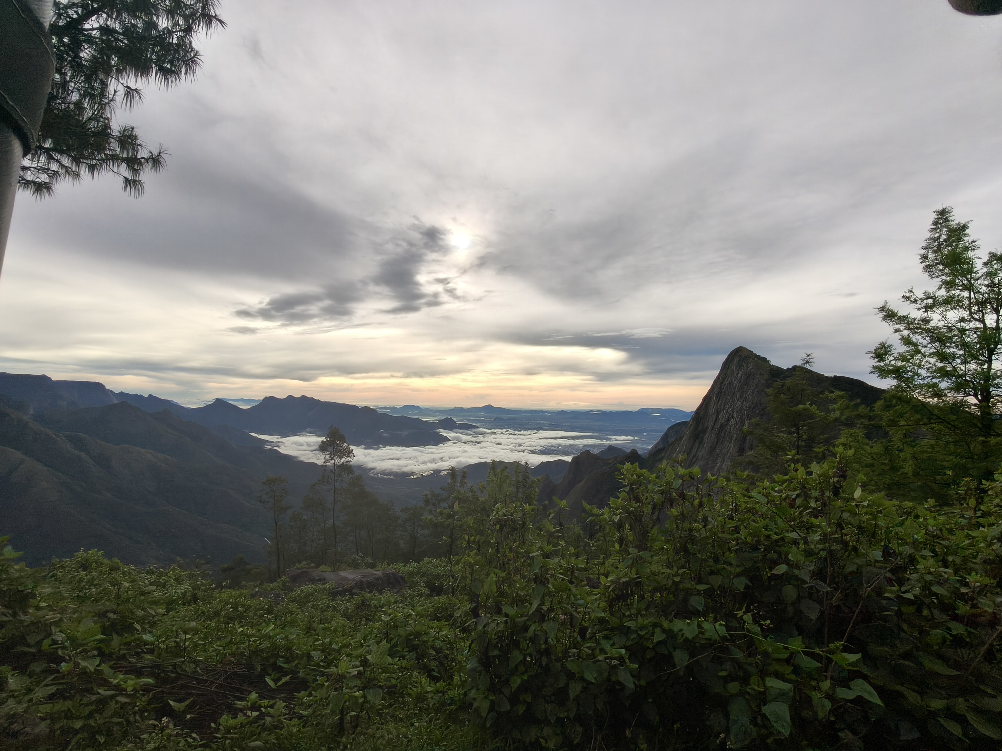 Kolukkumalai Munnar tea estates covered in thick clouds and misty sunrise view
